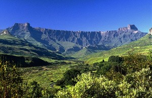 Berg